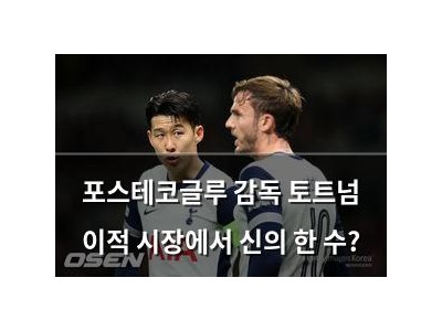 포스테코글루 감독 토트넘 이적 시장에서 신의 한 수?