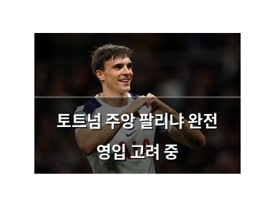 토트넘 주앙 팔리냐 완전 영입 고려 중