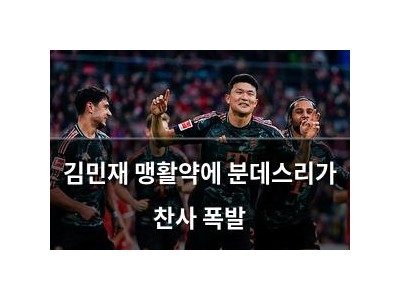 김민재 맹활약에 분데스리가 찬사 폭발