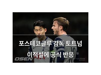 포스테코글루 감독 토트넘 이적설에 공식 반응
