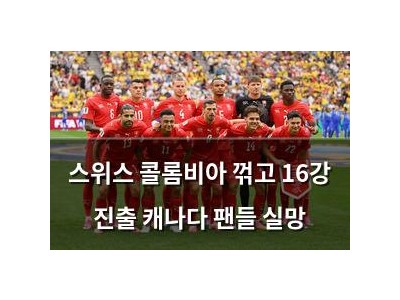 스위스 콜롬비아 꺾고 16강 진출 캐나다 팬들 실망