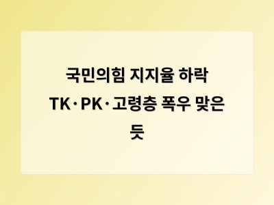 국민의힘 지지율 하락 배경과 당내 혼란이 정치적 미래에 미칠 영향