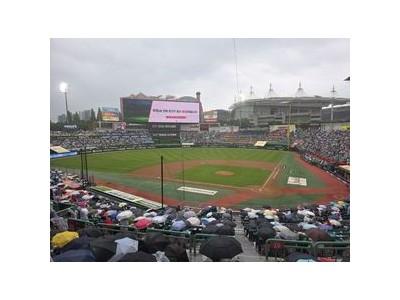 SSG vs 롯데 경기 우천 중단 후 재개 팬들 혼란