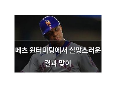메츠 윈터미팅에서 실망스러운 결과 맞이