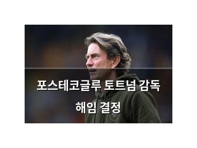 포스테코글루 토트넘 감독 해임 결정
