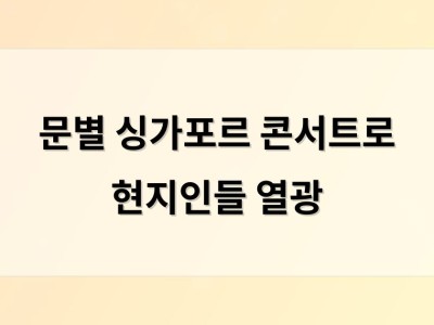 문별 싱가포르 콘서트로 현지인들 열광