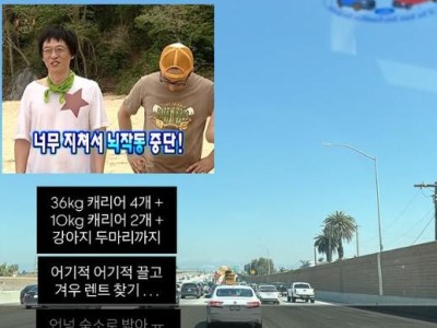 최준희 신혼여행 사진 공개 현실감 넘침