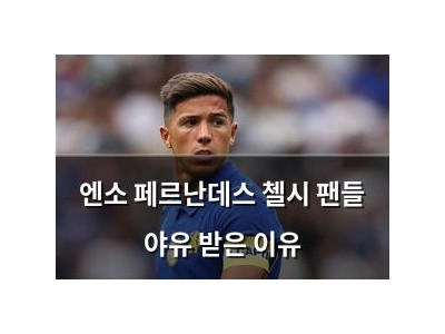엔소 페르난데스 첼시 팬들 야유 받은 이유
