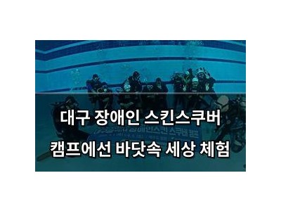 대구 장애인 스킨스쿠버 캠프에선 바닷속 세상 체험